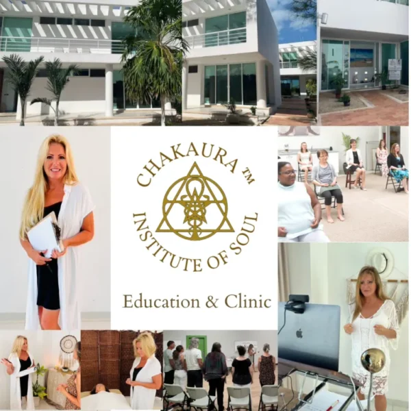 Chakaura Master Therapy Package with Michèle - Image 4