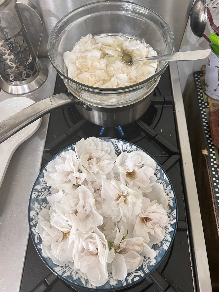 Rose Infused Oil - Blanc de Coubert by Spiritmoonwalker - Image 2