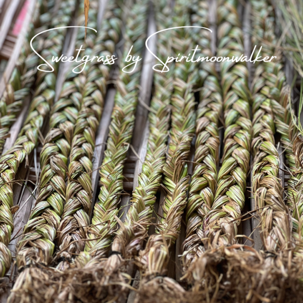 Sweet Grass Braid by Spiritmoonwalker