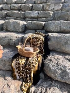 Smudging, Medicines, Ceremonial