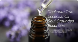 Chakaura™ Essential Oils